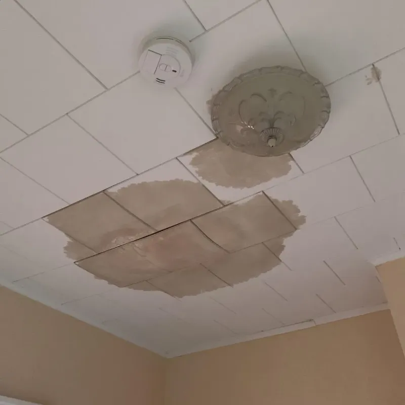 Ceiling Water Damage Repair in Cumberland County, ME